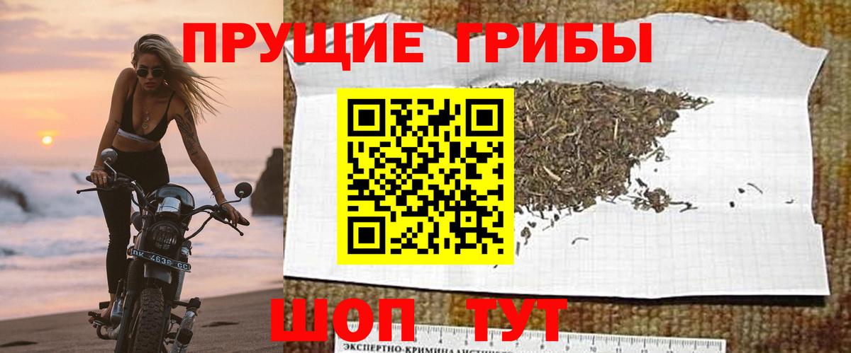 Галлюциногенные грибы прущие грибы Отрадный